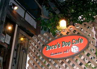 dogcafe.jpg